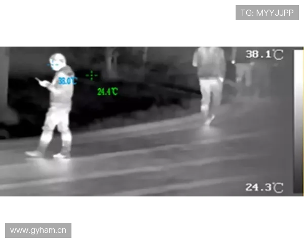 莱奥的效率与观感反差解析